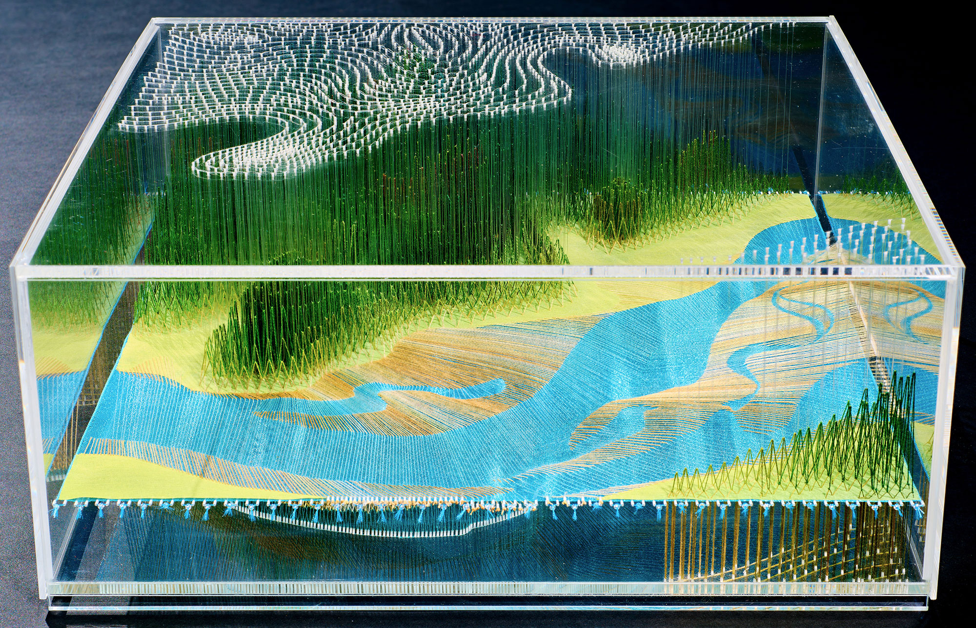 Isobel Currie, Interlaced and Fly Stitch Estuary