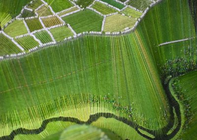 Double Fly Stitch Monsal Head